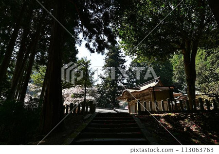 春天櫻花盛開的文寶寺 春天櫻花盛開的文寶寺 113063763