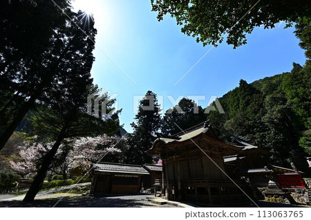 春天櫻花盛開的文寶寺 春天櫻花盛開的文寶寺 113063765