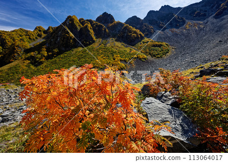 北阿爾卑斯山唐澤曲線和前穗高岳北脊的紅葉 113064017