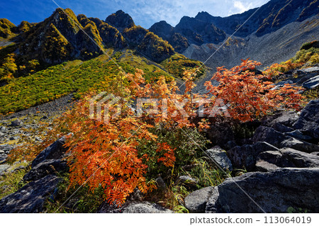 北阿爾卑斯山唐澤曲線和前穗高岳北脊的紅葉 113064019