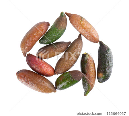 Fresh finger limes isolated on white background. Caviar lime. Fruits pods. Clipping path. Top view. Fresh finger limes isolated on white background. Caviar lime. Fruits pods. Clipping path. Top view. 113064037