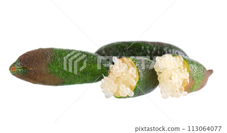 Fresh finger limes isolated on white background. Caviar lime. Fruits pods. Clipping path. 113064077
