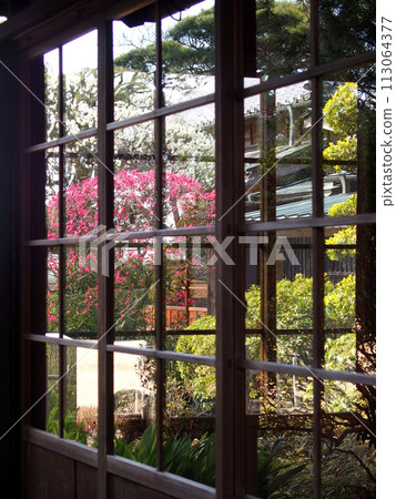 View of the garden of Tojo Residence with red plum blossoms through the window View of the garden of Tojo Residence with red plum blossoms through the window 113064377