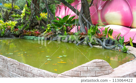 beautiful lotus flower in pond beautiful lotus flower in pond 113064422