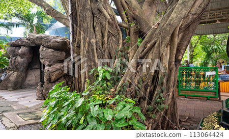 stone path in the garden stone path in the garden 113064424