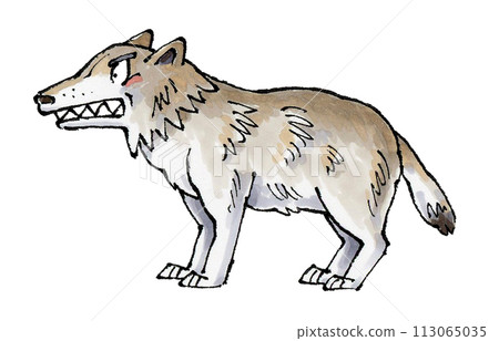 日本狼 日本狼 113065035