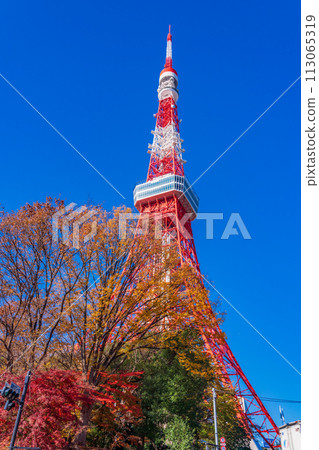 (東京)秋葉和東京鐵塔 (東京)秋葉和東京鐵塔 113065319