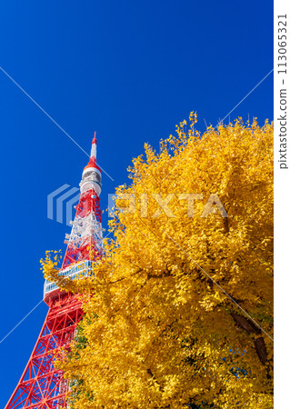 （東京）秋葉和東京鐵塔 113065321