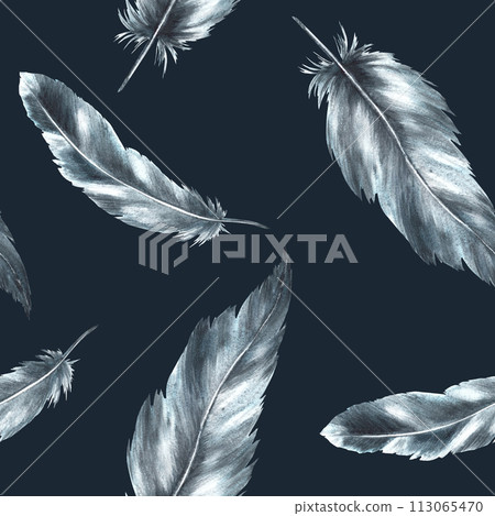Watercolor seamless pattern with monochrome bird feathers grey black color with granulation of shades, ornaments. Quills wings drawing illustration. Wallpaper wrapping fabric Isolated black background Watercolor seamless pattern with monochrome bird feathers grey black color with granulation of shades, ornaments. Quills wings drawing illustration. Wallpaper wrapping fabric Isolated black background 113065470