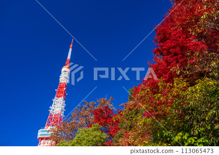 （東京）秋葉和東京鐵塔 113065473