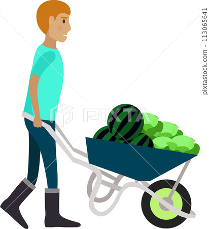 Farmer carrying vegetables crop in wheelbarrow vector icon isolated on white 113065641