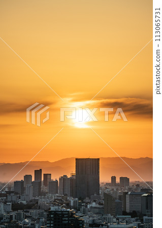 [Tokyo] Cityscape dyed in the sunset 113065731