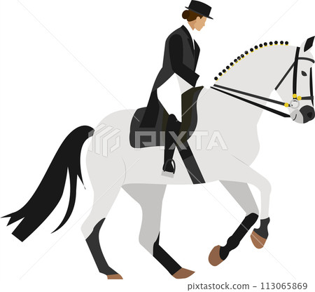 Lady riding horse vector icon isolated on white 113065869
