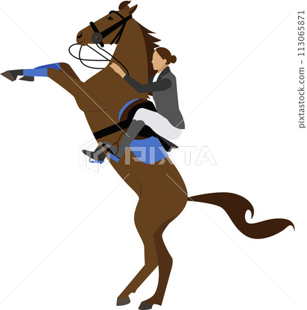 Woman riding horse vector icon isolated on white 113065871