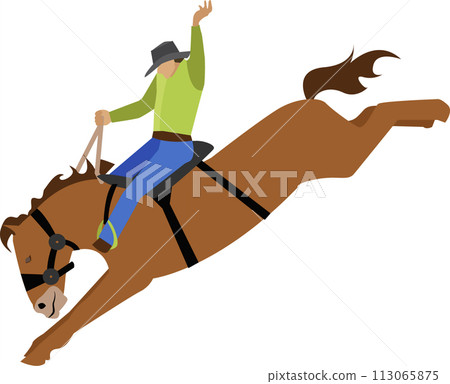 Rider tamer riding on horse vector icon isolated on white Rider tamer riding on horse vector icon isolated on white 113065875