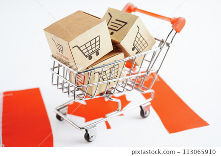 Online shopping, Shopping cart box on Canada flag, import export, finance commerce. 113065910