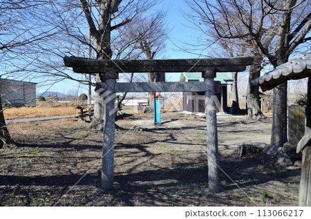 埼玉縣兒玉郡上川町四間財池日枝神社的大櫸樹 113066217