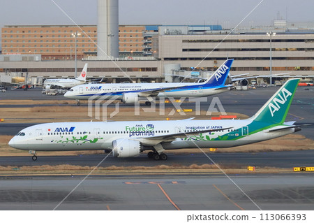 Blue and green ANA green jet Blue and green ANA green jet 113066393