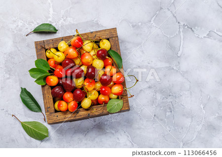 A vibrant and colorful cherry, bursting with sweet juiciness 113066456