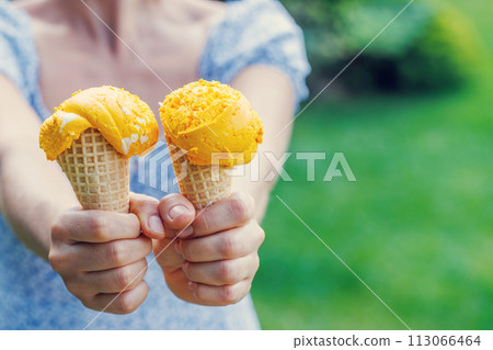 Refreshing ice cream in waffle cones with lemon flavour 113066464