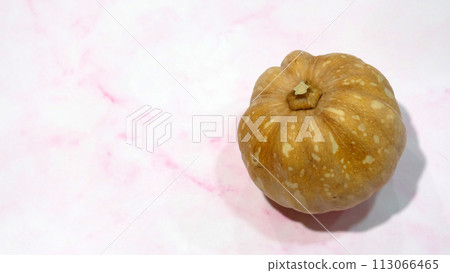 A whole small pumpkin with a pink marble background. With copy space on the left. 113066465