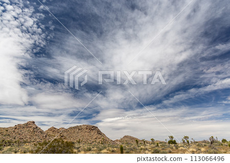 Joshua Tree National Park Joshua Tree National Park 113066496