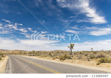 Joshua Tree National Park Joshua Tree National Park 113066497