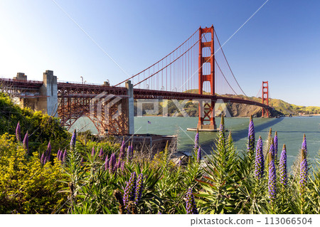Golden Gate Bridge 113066504