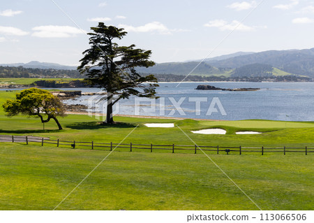 Golf Course on California Beach Golf Course on California Beach 113066506