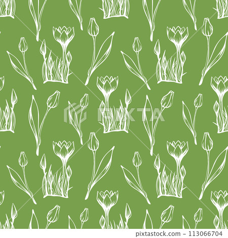 Sketch-style crocus and tulips pattern, hand-drawn on green background for unique designs 113066704