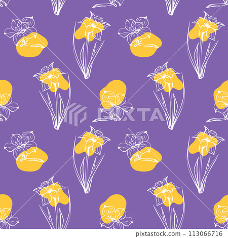 Sketch-style magnolia and narcissus pattern, hand-drawn on violet background Sketch-style magnolia and narcissus pattern, hand-drawn on violet background 113066716