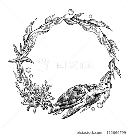 Underwater world clipart with sea animals turtle, shells, bubbles, coral and algae. Graphic illustration hand drawn in black ink. Circle wreath, frame EPS vector. 113066799