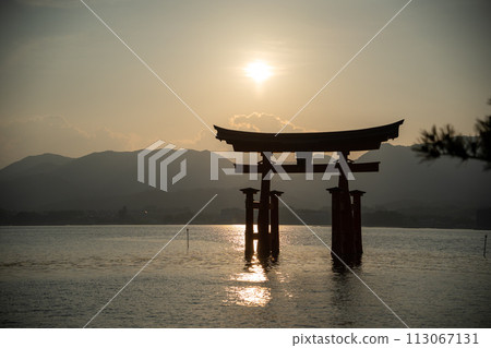 夏至前後嚴島神社的日落 113067131