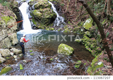 An angler enjoying fly fishing while swimming up a small waterfall in a nearby mountain stream. An angler enjoying fly fishing while swimming up a small waterfall in a nearby mountain stream. 113067207