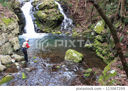 An angler enjoying fly fishing while swimming up a small waterfall in a nearby mountain stream. 113067209