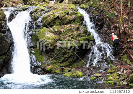 An angler enjoying fly fishing while swimming up a small waterfall in a nearby mountain stream. 113067210