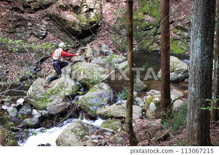 An angler enjoying fly fishing while swimming up a small waterfall in a nearby mountain stream. 113067215