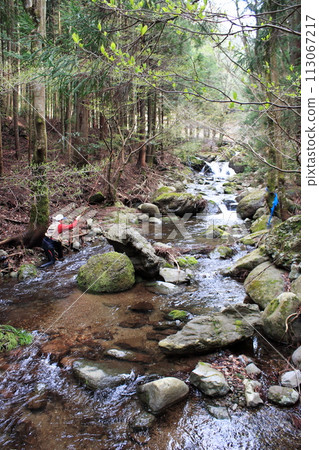 An angler enjoying fly fishing while swimming up a small waterfall in a nearby mountain stream. 113067217