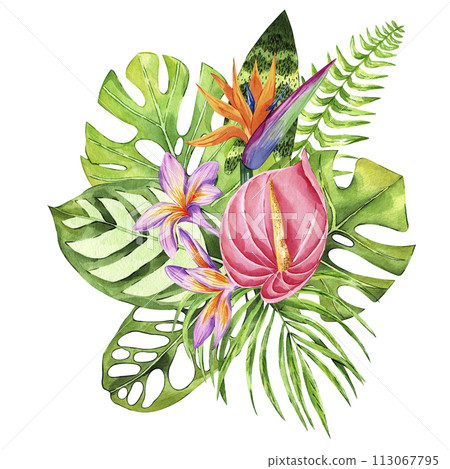 Illustration of tropical leaves and flowers with monstera, palm and banana leaves isolated on white background. Watercolor hand drawn exotic floral composition. Perfect for invitations, card 113067795