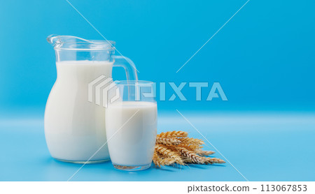 Fresh Milk in Pitcher and Glass 113067853
