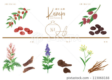 Herbal medicine vector illustration set 1 (red jujube, black jujube, rhubarb, tsuzi, chaihu) Herbal medicine vector illustration set 1 (red jujube, black jujube, rhubarb, tsuzi, chaihu) 113068188
