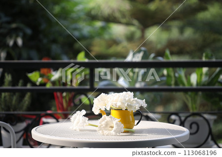 White flowers in a yellow vintage kettle teapot vase on the balcony table White flowers in a yellow vintage kettle teapot vase on the balcony table 113068196