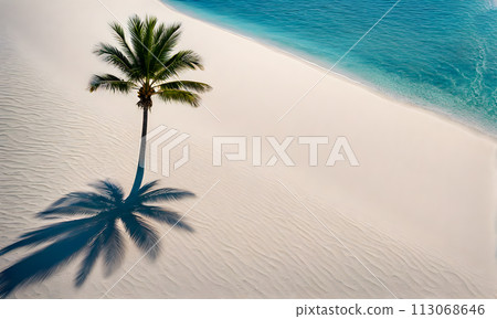 Tranquil Azure Ocean Beach Scene 113068646