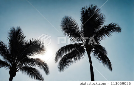 Tranquil Ocean Beach Scene 113069036