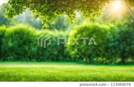 Expansive lawn edged with vibrant green trim leading to a blank area Expansive lawn edged with vibrant green trim leading to a blank area 113069076
