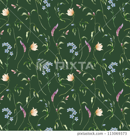 Watercolor seamless pattern of cosmos flower, forget-me-not and lavender. Hand painted floral composition isolated on dark green background. Flower illustration for interior design and background. 113069373