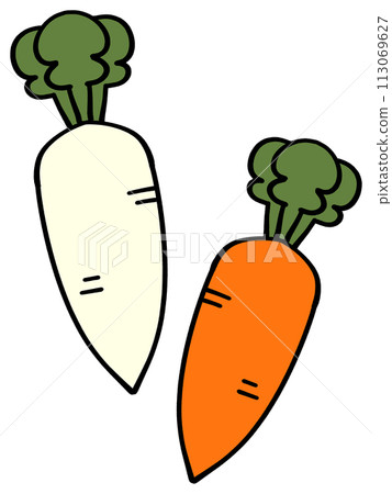 Simple carrot and radish illustration Simple carrot and radish illustration 113069627
