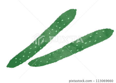 黃瓜圖黃瓜 113069660