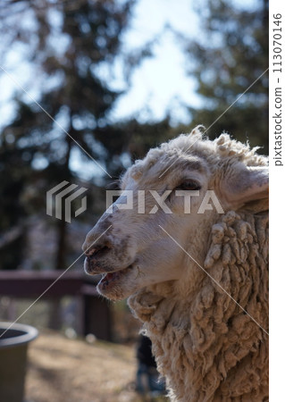 Rokko Mountains Ranch 113070146