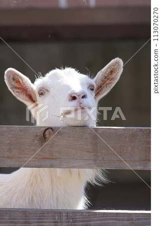 Rokko Mountains Ranch 113070270